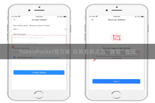 TokenPocket官方版  在其右侧点击“提现”按钮